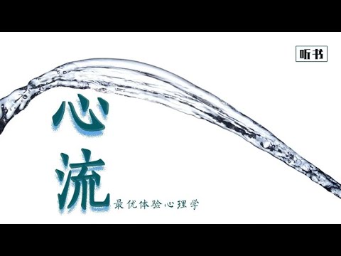 《心流》高手都在研究的幸福之路， 提升整体的幸福感与生活品质