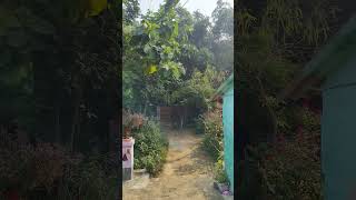 #funny #ipll #cricketleague #comedy #love #minivlog #cricketcomedy #iplc #love #iplcricket #funny