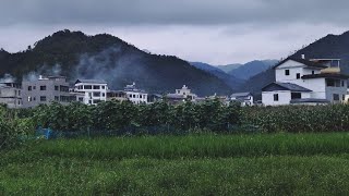 我又双叒叕回村了#乡村生活