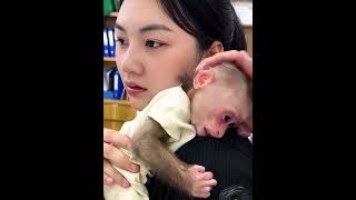 "Mom Loves Lala" series of short films: Early in the morning, Mom took Lala to the pet hospital