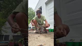 Watch me DIY a small planter!!🪴#diygarden #plants #gardening #diy #lowcost #mybackyardgarden