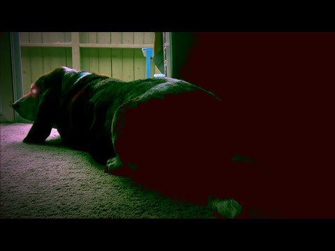 Barnaby.exe