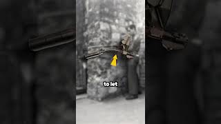 The Horrible Krummlauf Attachment 🤯