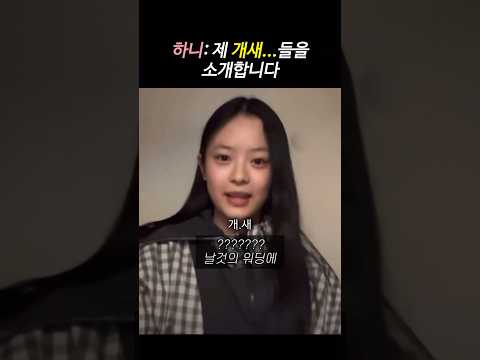 하니 라이브 중 팬들이 깜짝 놀란 이유