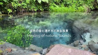 【自然の音】男池（おいけ）湧水群 川音 眠れる/Oike spring group Oita/Natural healing sound/Japan