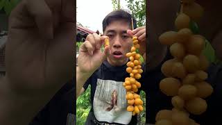 Manfaat buah kurma muda #kurmamuda #kurmaindonesia