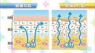 【2014.12.25】らくらく健康生活「冬の乾燥肌対策」