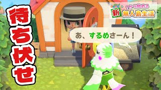【あつ森】家の前で待つな #28【あつまれどうぶつの森】