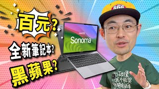 GlodinTrash Only $100 wholenew laptop but hacintosh OK!