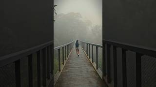 The Habitat Penang Hill #naturemood#penang #HabitatPenangHill #malaysia#nature #romantic#viralvideo