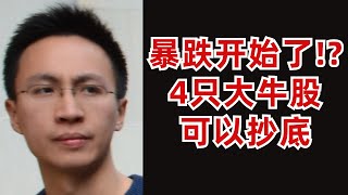 暴跌開始了？分享4只可抄底的美股(符合巴菲特要求的大牛股)