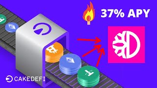 Defi Staking On Cake - Review And Tutorial - Earn 37% DeFiChain