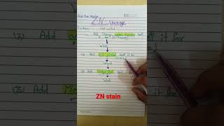 zn staining method #znstaining test #acid fast stain #microbiology #shorts #youtubeshorts