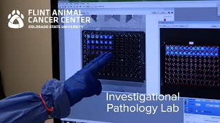 Investigational Pathology Laboratory - Dr. Dan Regan