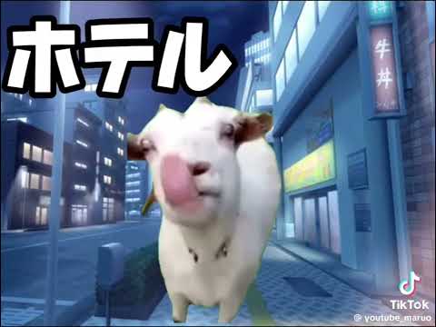 猫ミーム流行のやつやってみた
