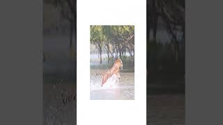 Tiger Reserve Of West Bengal |#upsc #uppsc2023 #bpsc #apfc  #mppsc #rpsc #ro #gk #eo #ao