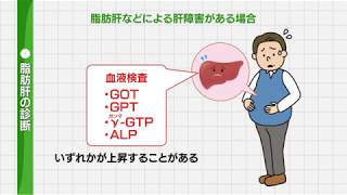 【肝硬変】「脂肪肝」について