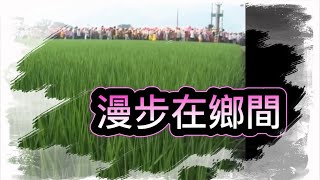 2-1漫步在鄉間..2020白沙屯媽祖進香回顧影展第三波