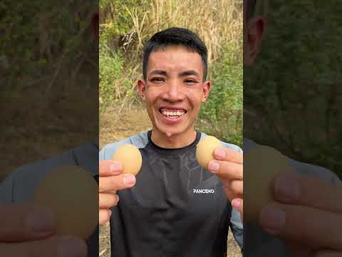 I Ate a Bird Egg to Survive in the Wilderness”