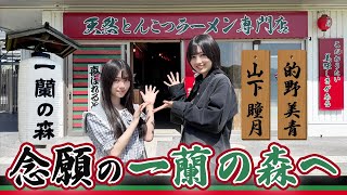 [Ichiran Forest] Matono and Yamashita's Japanese Ramen Journey: Infiltrating Ichiran's Hometown i...