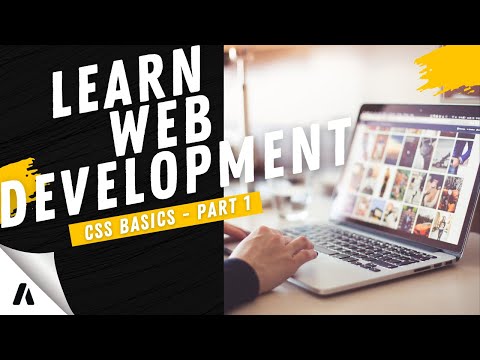 CSS Basics | CSS Course for Beginners - Part 1