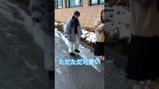 ただただ可愛い村井優 #櫻坂46 #櫻坂 #櫻坂46三期生 #櫻坂三期生 #村井優 #らびゅーず #インスタストーリー