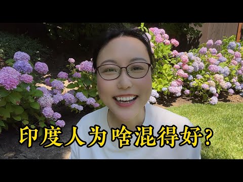 印度人为何全球开挂？德国也挡不住！| Why Are Indians Thriving Globally?