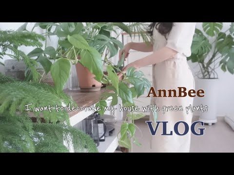 VLOG] Creating a comfortable home with a planter 🪴  / Rice with bean sprouts / Fall walk 😊