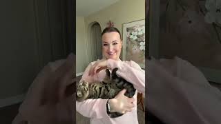 MEET SPOOKLY !! : Haggis's New Cat Friend! 🐾 A Sweet Addition to Our Workout Family ❤️