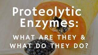What Are Proteolytic Enzymes and What Do They Do?