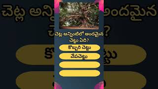Interesting Questions Telugu #Unknown Facts #General Knowledge #Telugu Quiz #Gk #Subscribe#IBSTUDIES