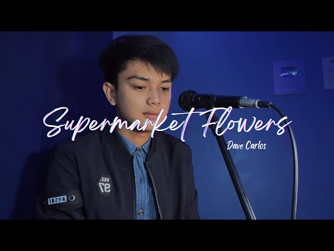 Supermarket Flowers - Ed Sheeran | Dave Carlos (Cover)