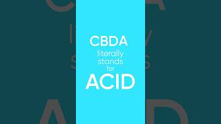 What is CBDA?