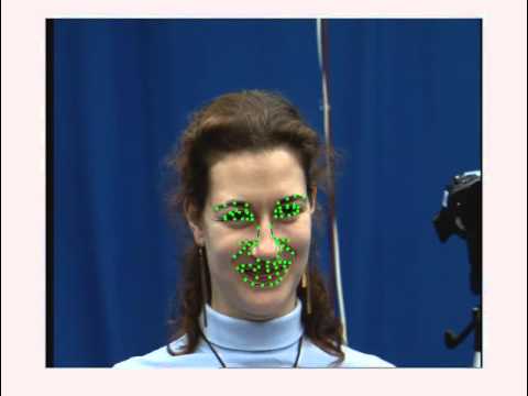Facial Feature Tracking with Linear Predictors