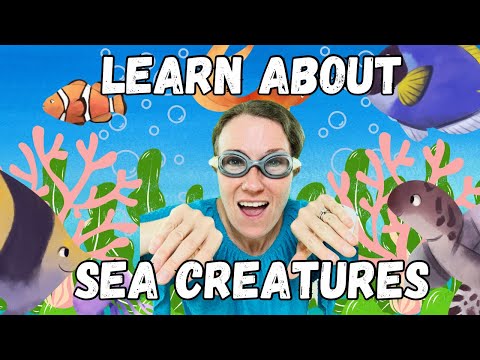 Learn About Sea Animals | Educational Videos for Kids