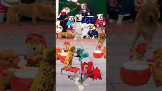 rebirth dance remix #taisinhremix #tungduong #huypt #taisinh #memix #dogshorts