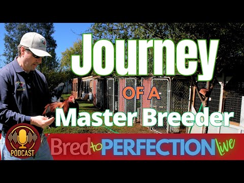 Ep164 - The Journey of a Master Breeder: Lessons Learned from Experience, Failure, and Mentorship