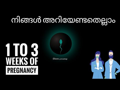 1 to 3 WEEKS OF PREGNANCY / WEEK BY WEEK PREGNANCY JOURNEY / week by week pregnancy transformation