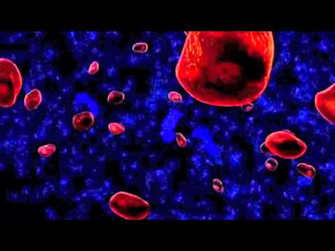 Tissue Engineering for Life | Preview