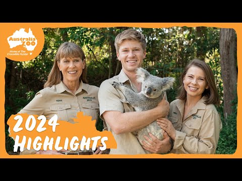 That's a wrap on 2024 | Australia Zoo Life