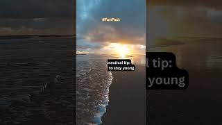 Summer Motivational Inspirational