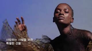 아베다 X 아이리스 반 헤르펜 홀리데이 컬렉션
