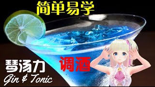 调酒Gin＆Tonic琴汤力鸡尾酒【Nicole小厨房】在家可以调出酒吧的感觉？【Vtuber中文】