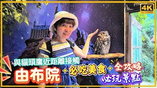 A guide to must-see attractions and must-eat foods in Yufuin｜Fukuoka, Kyushu