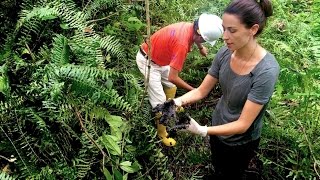 Chevron vs. the Amazon - Full Documentary