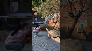 解压 亲子时光 亲子游 春节去哪玩 龟谷隐宿