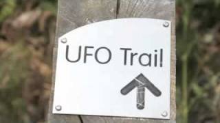 Recordings released of US military probing UFO in British woodland