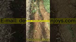 Chain tracked micro tiller Self-propelled power micro tiller rotary tiller