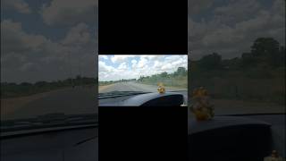Travel & Ilayaraja song #Short #devvlogs
