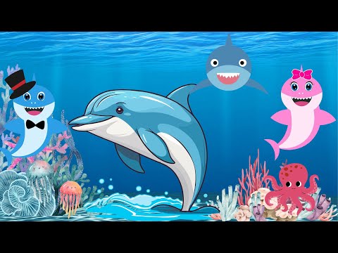 Baby shark doo doo doo doo doo doo🦈| | Nursery rhyme for kids| Sharks dancing😆